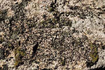 texture of a stone