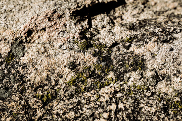 texture of stone