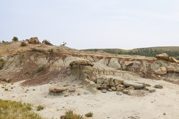 Petrified Forest at Theodore Roosevelt National Park, North Dakota