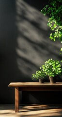 Sunlight streams through a window, casting shadows on a dark wall.  Small potted plants rest on a wooden bench
