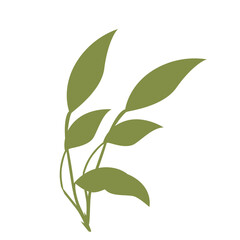 Obraz premium 2D illustration of a tall leafy plant with slim stems and green leaves, ideal for eco designs, nature scenes, or backgrounds.