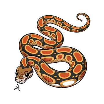 Cute and colorful burmese python cartoon snake illustration on white background
