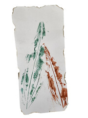 Old paper texture with a colorful  feather