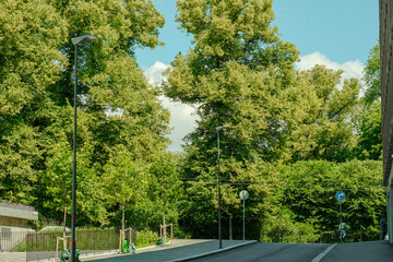 Summer Greenery and City Scenes in Oslo’s Slottparken Area 오슬로 슬로트파르켄 지역의 여름 초록과 도시 풍경