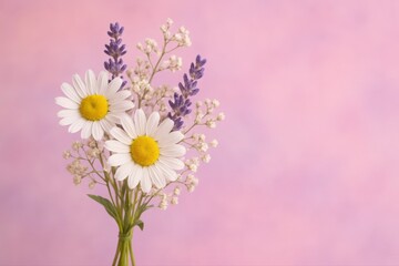Fototapeta premium Daisies and lavender bouquet on a light pink textured background space