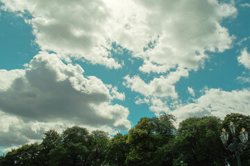 Summer Greenery and City Scenes in Oslo’s Slottparken Area 오슬로 슬로트파르켄 지역의 여름 초록과 도시 풍경