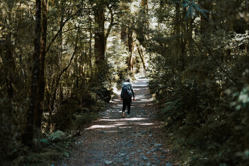 Obraz premium Hiking in the forest, Milord Track
