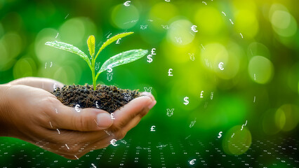 Digital finance and environmental growth