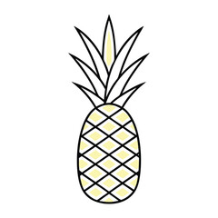 pineapple fruit vector illustration