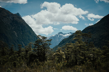 Mountain landscape with clouds on Milford Track, New Zealand