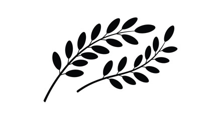 Botanical Illustration of Two Olive Branches Featuring Detailed Leaves and Delicate Twigs