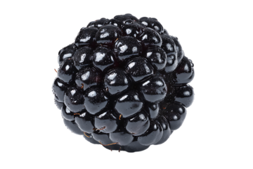 Close up of a ripe, juicy blackberry.  Perfect for food blogs and recipes.