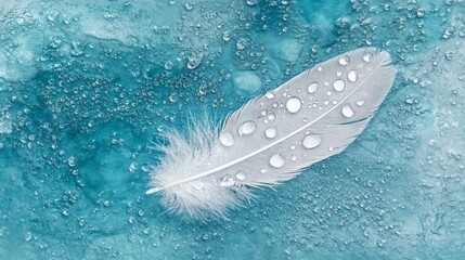 Transparent water droplets on white bird's feather on blue and turquoise background,  - ai