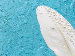 Transparent water droplets on white bird's feather on blue and turquoise background,  - ai