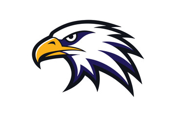 american bald eagle