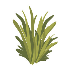 2D illustration of a dense spiky green plant with long leaves, perfect for garden decor, eco designs, or landscape scenes.