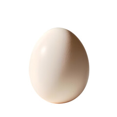 Egg PNG