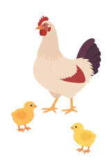 Fototapeta premium A mother hen stands proudly with her two small, adorable chicks in this cute cartoon illustration with a transparent background.
