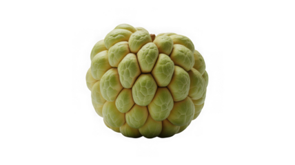 A ripe green custard apple fruit isolated on a black background