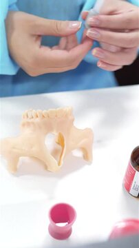 Dental prosthesis in the hands of the doctor close-up. Dentist holding ceramic dental bridge. Front view of complete denture. Dentistry conceptual photo. Prosthetic dentistry. False teeth
