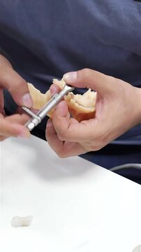 Dental prosthesis in the hands of the doctor close-up. Dentist holding ceramic dental bridge. Front view of complete denture. Dentistry conceptual photo. Prosthetic dentistry. False teeth