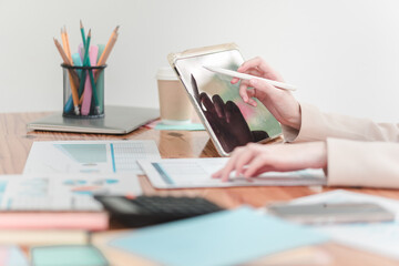 Professional business analyst utilizing digital tools for effective data visualization and insights