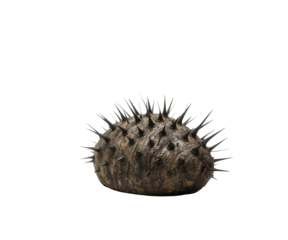 Lucid Realism, A Heavily Armored Tail Segment with Meta Elements Displayed on a Solid Colored Background for Digital Art Purposes