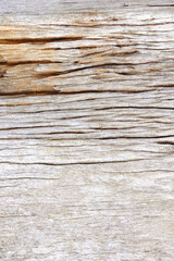 close up of wooden texture for background                                                                                                             