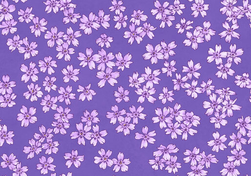 シームレスな芝桜の背景素材