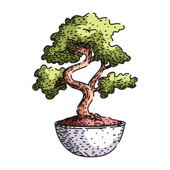 soil bonzai tree sketch hand drawn vector