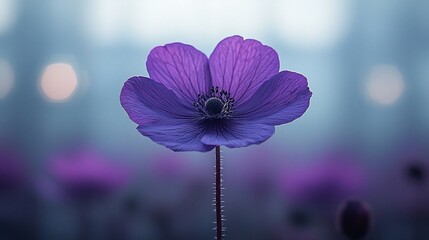 Purple flower in soft focus