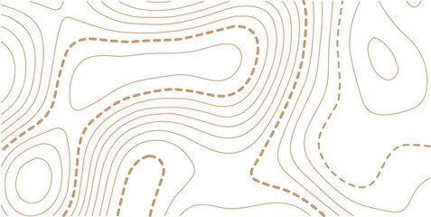 Geographic grid map vector illustration. Uxury gold abstract topographic map background with golden lines texture, wallpaper design for fabric, packaging, web.