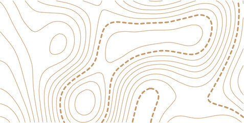 Geographic grid map vector illustration. Uxury gold abstract topographic map background with golden lines texture, wallpaper design for fabric, packaging, web.