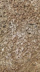 Natural Stone Texture Background with Rough Surface
