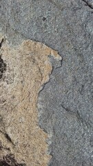 Natural Stone Texture Background with Rough Surface