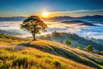 Obraz premium Serene Sunrise Over Rolling Hills and Misty Valley, a Majestic Lone Tree Silhouetted Against the Golden Hour Light