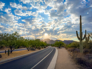 Curving Desert Road at Sunrise with Saguaro Cactus and Mountains	