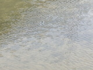 川の表面