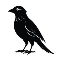 Fototapeta premium black bird vector design 