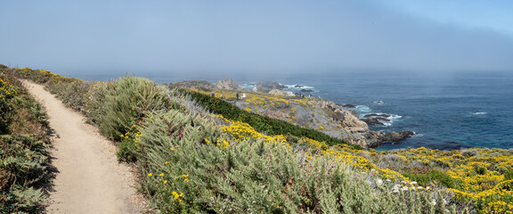 Trail on a Nature Hike Panoramic