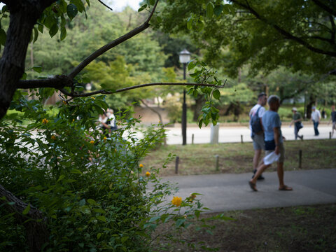 公園を散歩する外国人