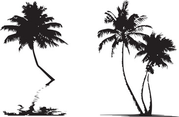 Palm Tree graphic black silhouette vector