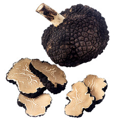 Whole black winter truffle and sliced pieces with intricate marbling isolated on transparent background