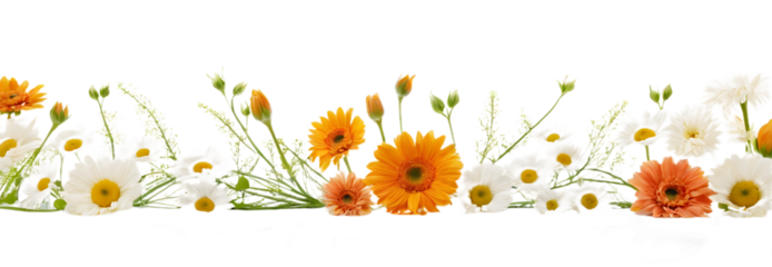 Floral border PNG transparent background, decorative flower frame clipart, elegant floral design for invitations and greeting cards
