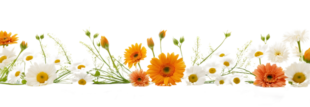 Floral border PNG transparent background, decorative flower frame clipart, elegant floral design for invitations and greeting cards
