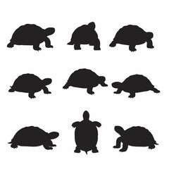 Fototapeta premium Set of Black Tortoise Silhouettes