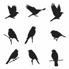 Obraz premium Various Bird Silhouettes Set