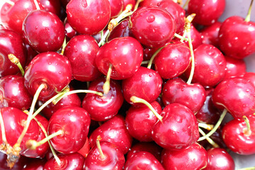 A large number of ripe, bright red cherries with stems, glistening in the sun. The image perfectly conveys the freshness of the summer harvest, natural beauty, and the appetizing appearance of the fru