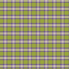 Classic Sage Green and White Plaid Pattern Background