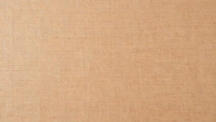 Fototapeta premium cardboard texture background